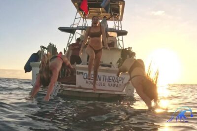 Sunset Cruise along Waikiki Coastline - Timing: the 5:30 pm start and how the 90 minutes usually feel