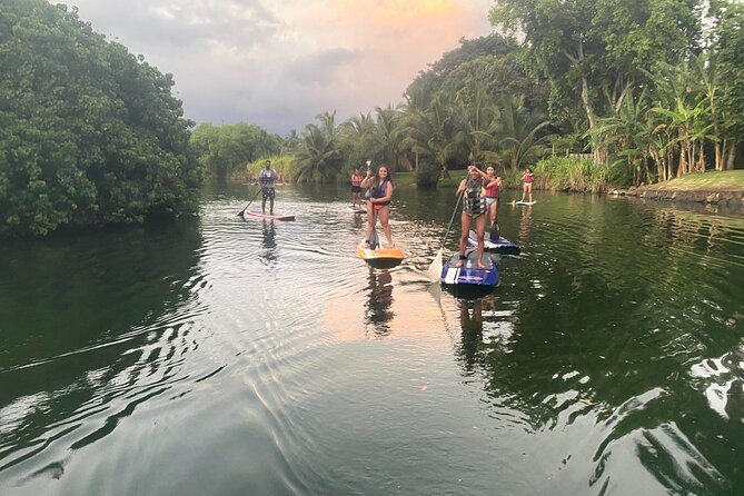 Sunset Stand Up Paddle with Photos and Turtles - Photos and video: the included camera work that saves your battery