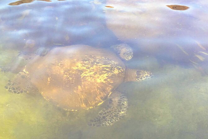 Sunset Stand Up Paddle with Photos and Turtles - The 2-hour flow: what it feels like from start to finish