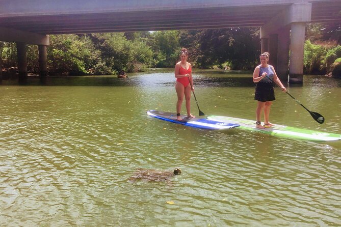 Sunset Stand Up Paddle with Photos and Turtles - Who should book this sunset turtle SUP (and who shouldn’t)
