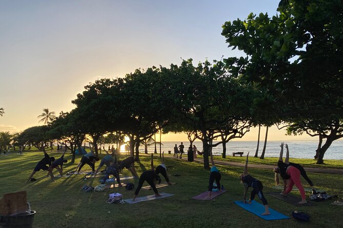 Sunset Yoga Flow at Magic Island - Where Magic Island yoga happens—and how to not get lost