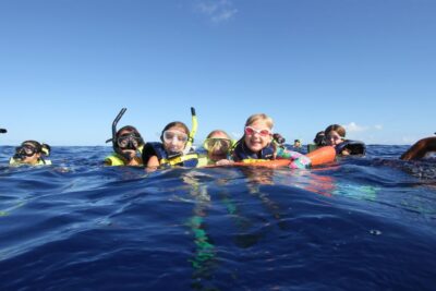 Swim with Wild Dolphins Oahu Speedboat Snorkeling Adventure! - Morning pickup: early start, real convenience