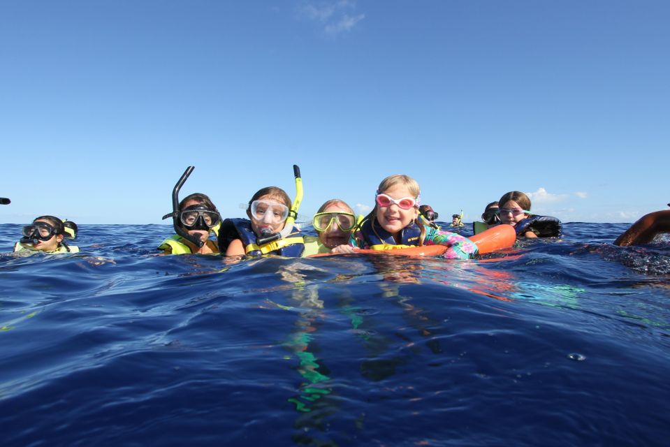 Swim with Wild Dolphins Oahu Speedboat Snorkeling Adventure! - Morning pickup: early start, real convenience