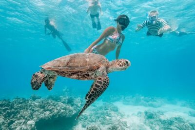 Swimming with Wild Dolphins Speedboat Adventure on Oahu - Getting there: Waianae harbor, hotel pickup, and the early start
