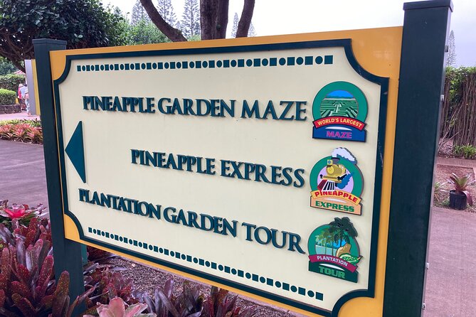 "The Dole Plantation" & "North Shore" Private Limousine VIP Tour! - The Drive Experience: Scenery, Sea Turtle Odds, and Photo Breaks