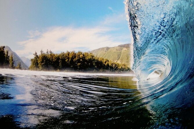 "The Dole Plantation" & "North Shore" Private Limousine VIP Tour! - Price and Value: Is $899 Worth It?