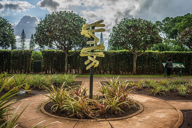 "The Dole Plantation" & "North Shore" Private Limousine VIP Tour! - Should You Book This Dole and North Shore VIP Limo Tour?