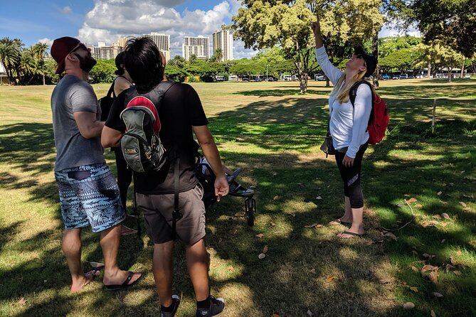 The East Waikiki Walking Tour - The Park Break at Kapiolani Park: Photos, Ice Cream, and a Reset