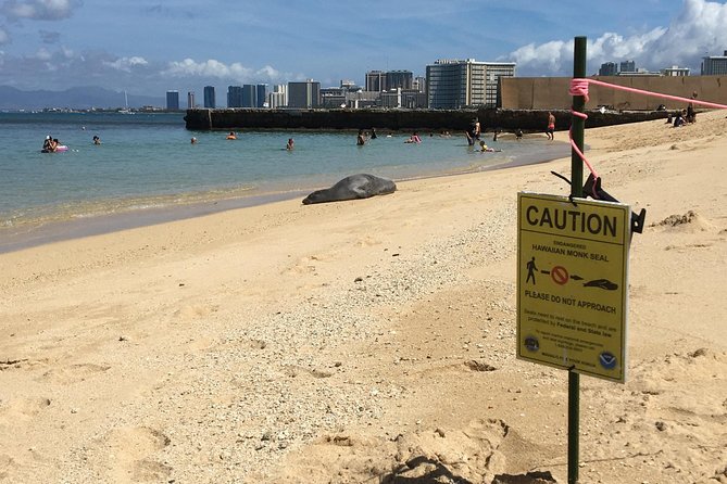 The East Waikiki Walking Tour - Snack Timing: Free Mochi Ice Cream About 45 Minutes In