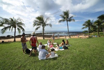 Transportation to North Shore - What’s not included: snorkel gear and surf/SUP rentals