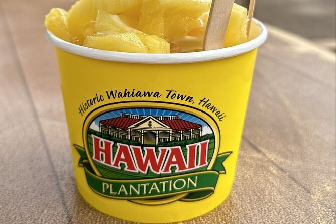 Turtle Snorkeling and Dole Plantation Guided Tour In Oahu - Who this tour fits best (and who should skip it)