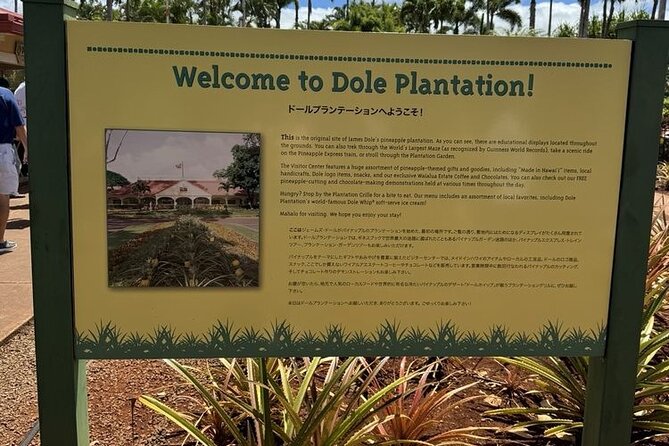 Turtle Snorkeling and Dole Plantation Guided Tour In Oahu - Should you book the Turtle Snorkeling and Dole Plantation Guided Tour?