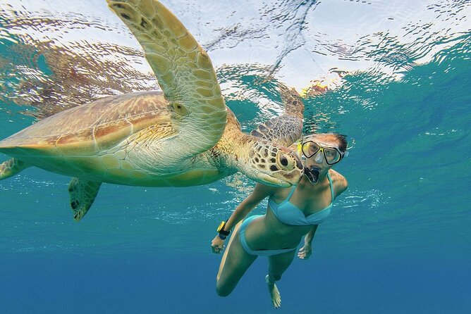 Turtle Snorkeling and Dole Plantation Guided Tour In Oahu - Green World Coffee Farms: coffee as a full, hands-on morning stop