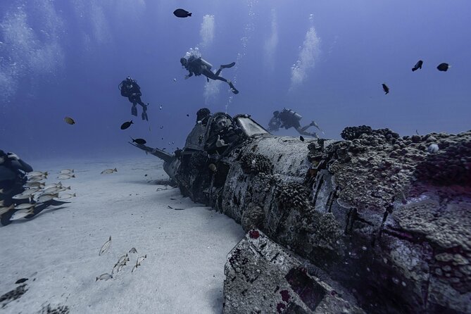 Two Tank Wreck and Drift Dive in Oahu - The First Underwater Stop: A Maunalua Bay Wreck for Structure and Variety