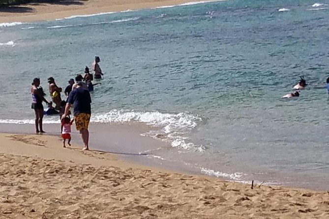Ultimate Grand Oahu Circle Island Tour with Snorkeling and More - Coffee Farm and Dole Plantation: Snacks, Stops, and the Reality of Timing