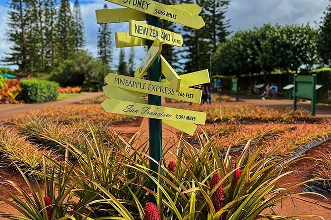Ultimate North Shore Adventure: Full-Day Hawaiian Experience - Stop 2: Kawela Bay Beach for turtles, sand, and a rare quiet stop