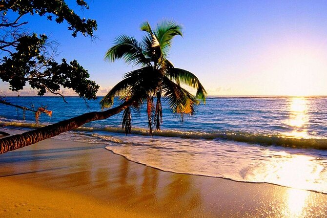Ultimate North Shore Adventure: Full-Day Hawaiian Experience - Getting from Waikiki to the North Shore without losing your day