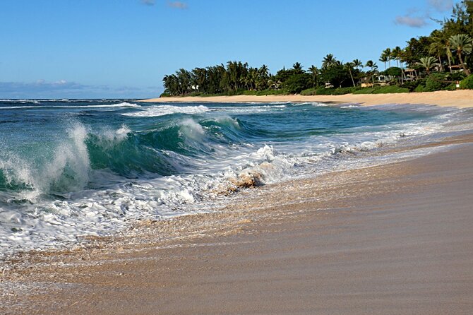 Unforgettable Day on Oahu | Small Group Circle Island Tour - North Shore on Purpose: Macadamia Tastings, Kualoa Ranch Pass-By Stories, and Kahuku Lunch