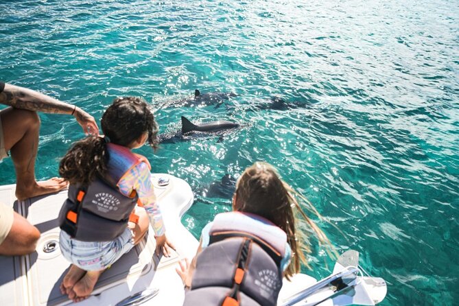 Venture Wildlife Snorkel Charter from Ko Olina - Onboard Comfort: Snacks, Drinks, and a Cozier Boat Rhythm
