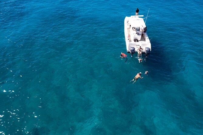 Venture Wildlife Snorkel Charter from Ko Olina - Who Should Book This Venture Whale + Snorkel Charter