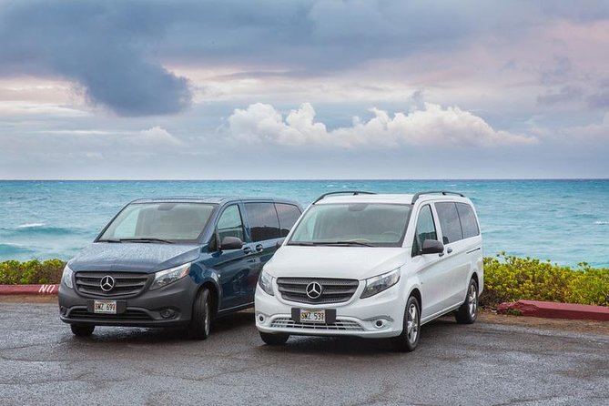 VIP Aloha Style Private Island Tour - Mercedes van comfort and hotel pickup: the VIP part you actually feel