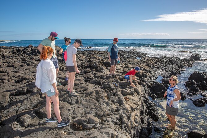 VIP Aloha Style Private Island Tour - Halona Blowhole: a quick stop with big ocean energy