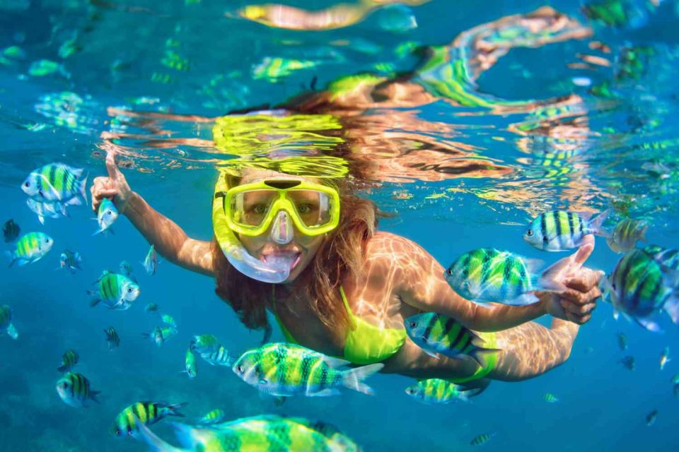 Waikiki: 5-in-1 Turtle Snorkeling Trip with Shuttle Option - Kayaks and Stand-Up Paddleboards: Big Views, Real Weather Limits