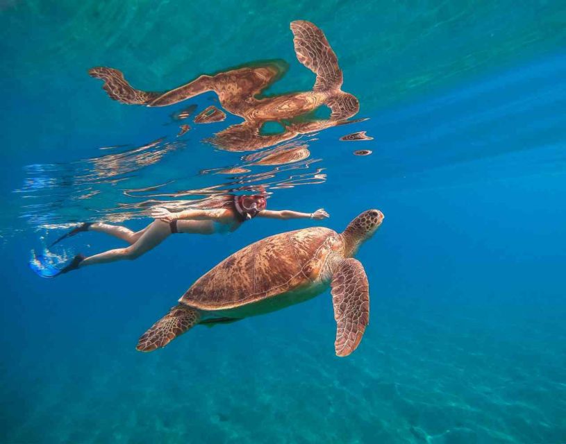 Waikiki: 5-in-1 Turtle Snorkeling Trip with Shuttle Option - Snacks, Drinks, and What You Still Need to Pay For