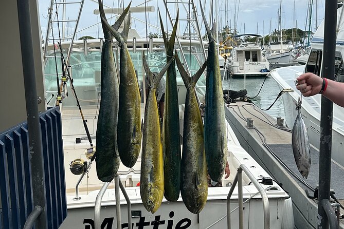 Waikiki Deep Sea Fishing Charter from Oahu - What you’re actually signing up for off Waikiki