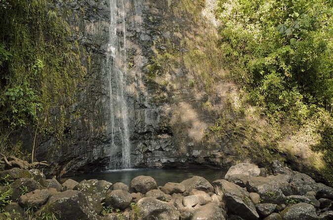 Waikiki Electric Bike Self Guided Tour- Manoa Falls Bike and Hike - The 1.6-Mile Manoa Falls Hike: Short, Lush, and User-Friendly
