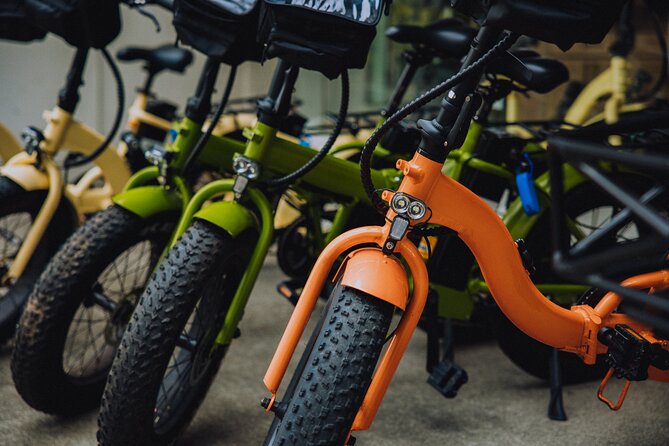 Waikiki Electric Bike Self Guided Tour- Manoa Falls Bike and Hike - Who Should Book This (and Who Might Want to Skip It)
