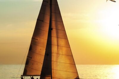 Waikiki Fireworks Dinner Cruise: Sail & Sparkle on Friday Nights - Price and Logistics: Getting On Board Without Losing Your Evening