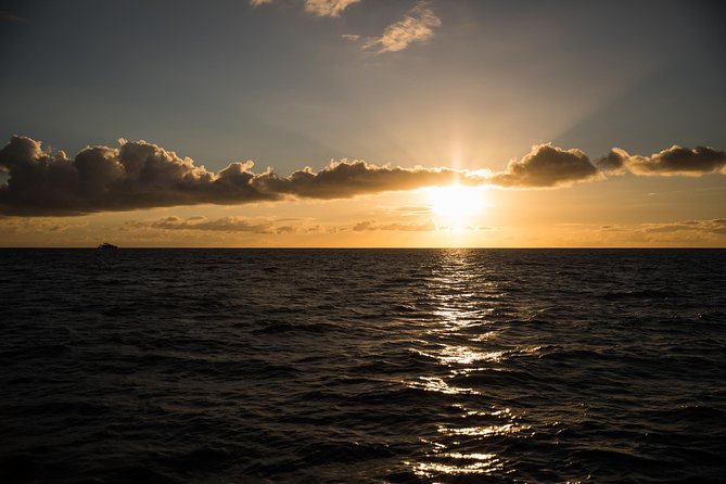 Waikiki Fireworks Dinner Cruise: Sail & Sparkle on Friday Nights - Should You Book Waikiki Fireworks Dinner Cruise?