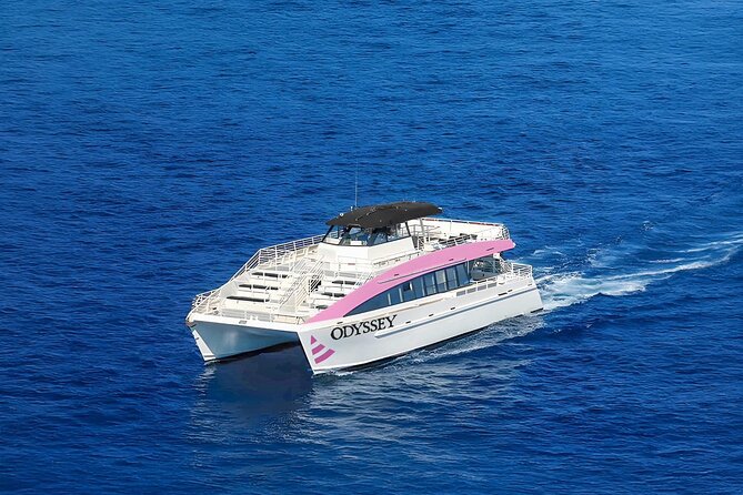 Waikiki: Friday Night Fireworks Catamaran Cruise - Drinks, Snacks, and the Cash Bar Reality