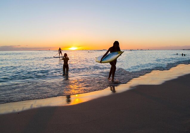 Waikiki Panorama Sail: Search for Hawaiian Sea Turtles - A 90-minute Waikiki turtle hunt that fits real vacation schedules