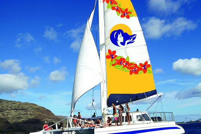 Waikiki Panorama Sail: Search for Hawaiian Sea Turtles - From Kewalo Basin to south shore views: the ride you’ll actually remember