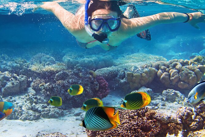 Waikiki Sail and Snorkel Adventure Best of Hawaii 2023 - Snorkeling over the reefs: gear, flotation, and a calm start