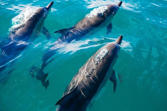 Waikiki Sail and Snorkel Adventure Best of Hawaii 2023 - The sail along Waikiki: views from the water beat the road