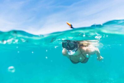 Waikiki Snorkeling Adventures with E Sea Diver! - Price and logistics: what $69 buys you (and what it doesn’t)
