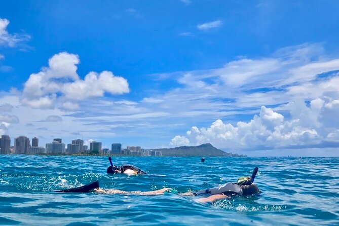 Waikiki Snorkeling & Ocean Waterpark Adventure from Oahu - Key Points at a Glance