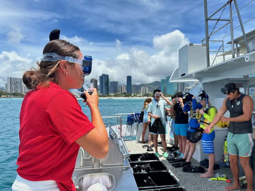 Waikiki Turtle Snorkel Adventure - From Captain Marley to Turtle Canyon