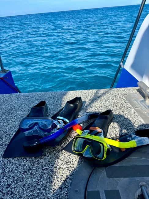 Waikiki Turtle Snorkel Adventure - What Happens During the Boat Ride and Snorkel Time