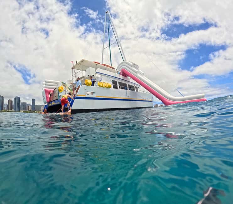 Waikiki Turtle Snorkel Adventure - Price and Value: What You’re Actually Paying For