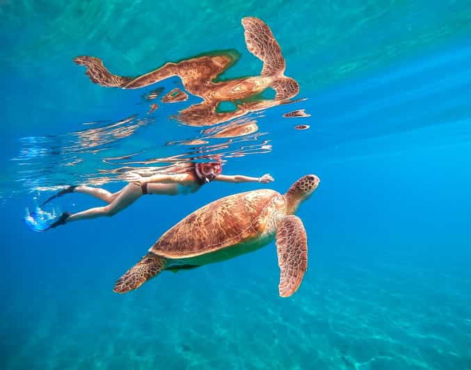 Waikiki: Turtle Snorkeling Cruise with 20ft Jumping Platform - Price and Value: Is $89 Worth It?