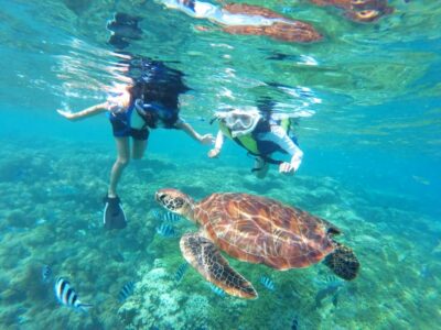 Waikiki: Turtle Snorkeling Cruise with 20ft Jumping Platform - Getting From Waikiki to the Catamaran (Without the Headache)