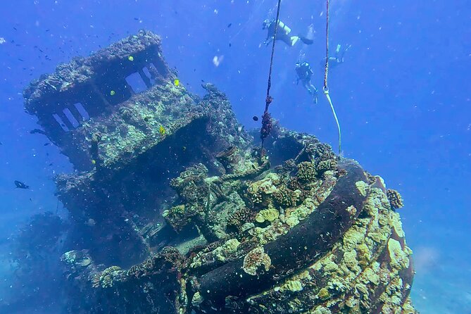 Waikiki Two Tank Guided Scuba Diving Adventure: Certified Diver - Reef life targets: How turtles, octopus, and sharks fit the plan