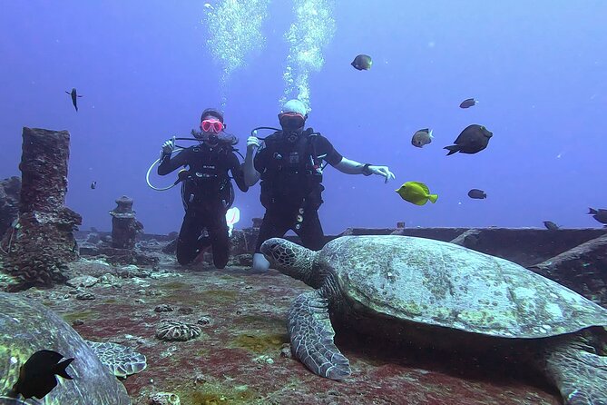 Waikiki Two Tank Guided Scuba Diving Adventure: Certified Diver - Historic shipwrecks off Oahu’s south shore: The change in scenery that matters