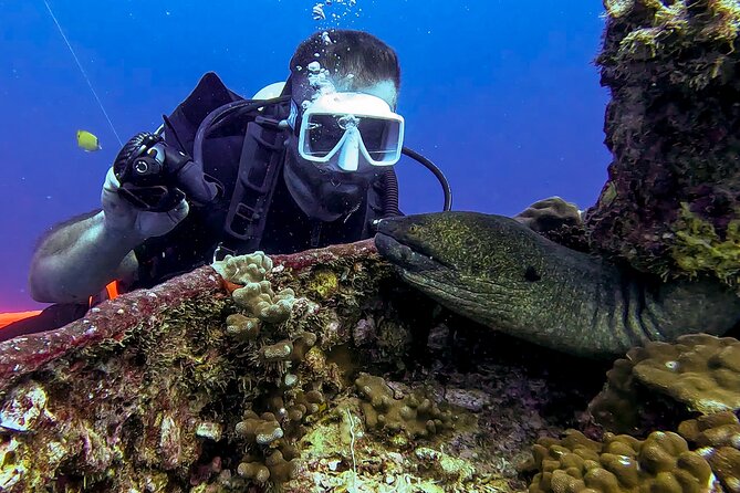 Waikiki Two Tank Guided Scuba Diving Adventure: Certified Diver - Who should book this certified-only Waikiki session?