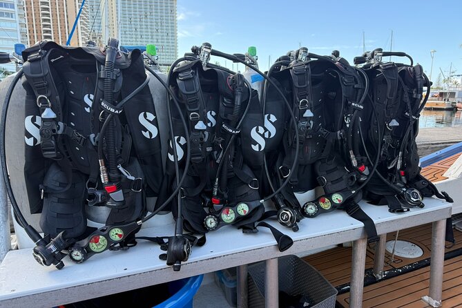 Waikiki Two Tank Guided Scuba Diving Adventure: Certified Diver - Max 6 certified scuba participants: What you gain (besides less crowd noise)