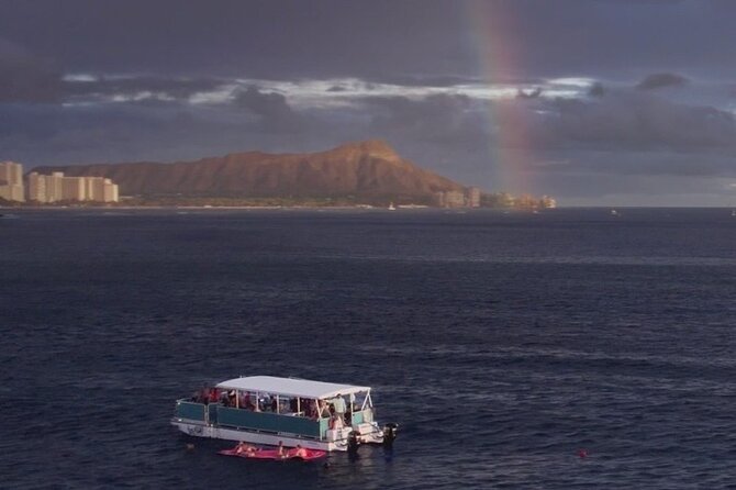 Waikiki Whale Watching Cruise - Key things to know before you go